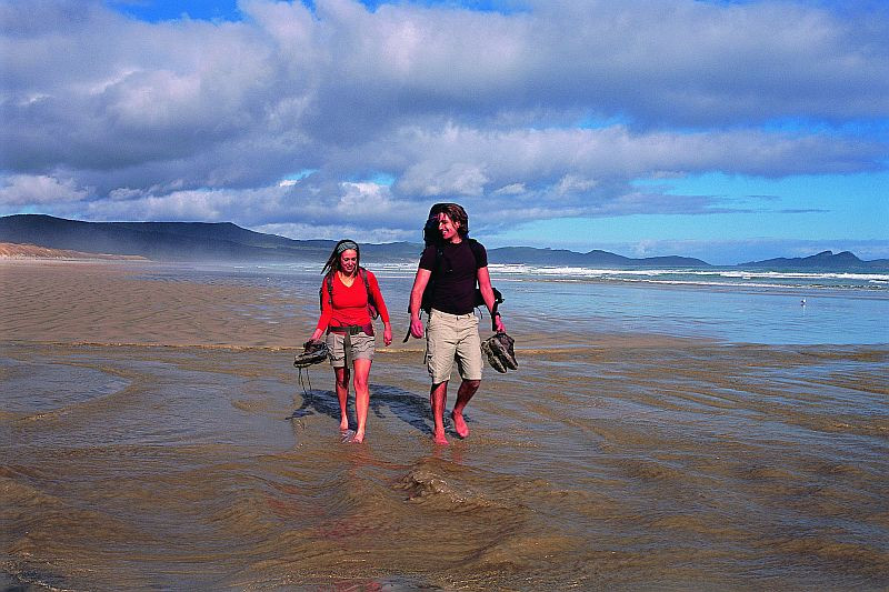 Kiwi Wilderness Walks-皇后镇必去景点