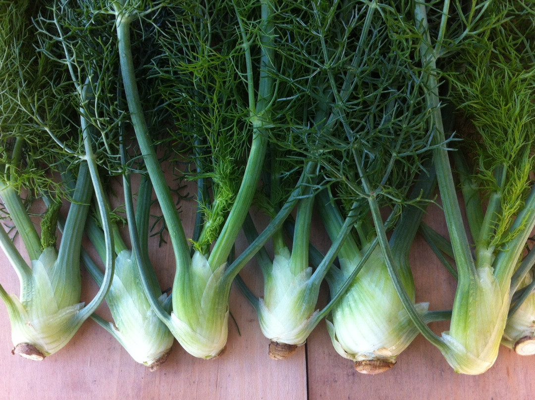 Blue Moon Acres-Pennington必去景点