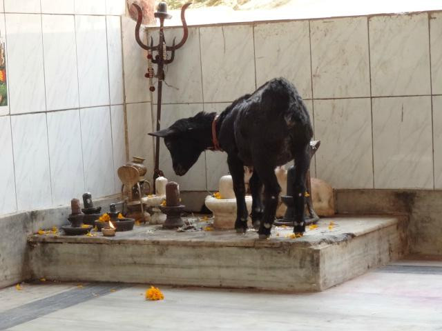 Vashistha Temple景点图片