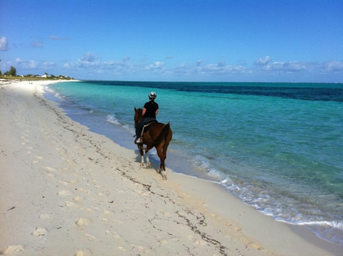 Caicos Coral-普罗维登西亚莱斯必去景点