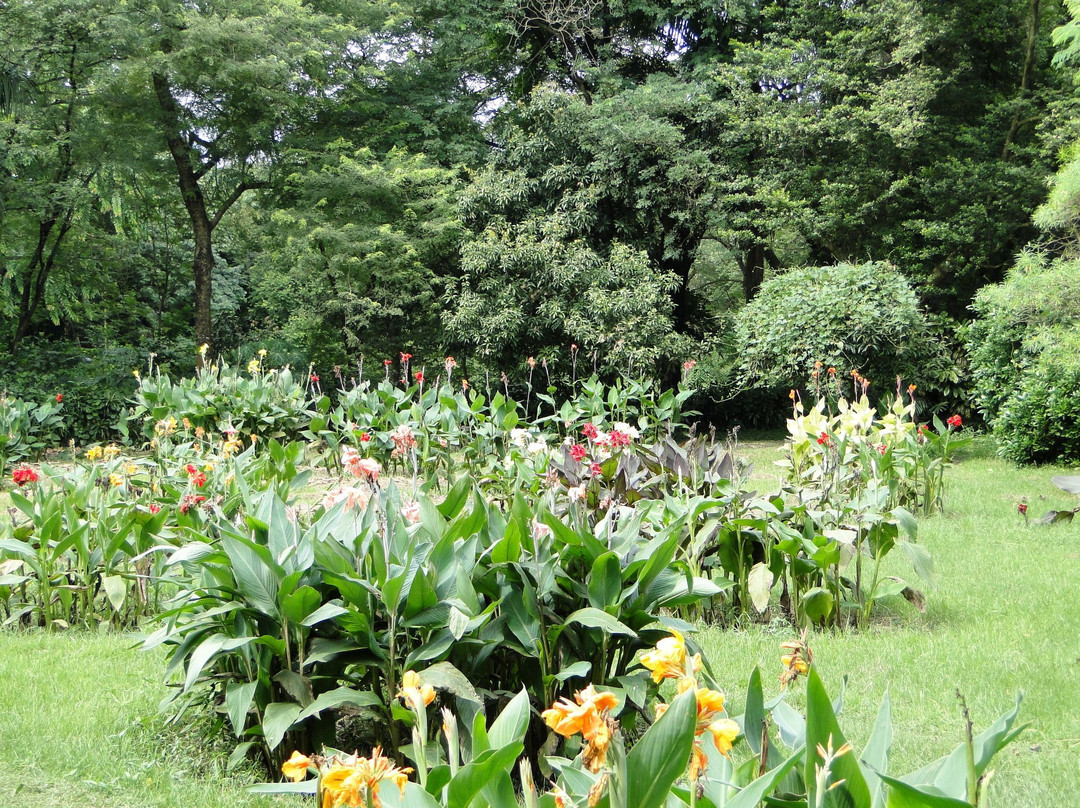Acharya Jagadish Chandra Bose Indian Botanic Garden-Howrah必去景点