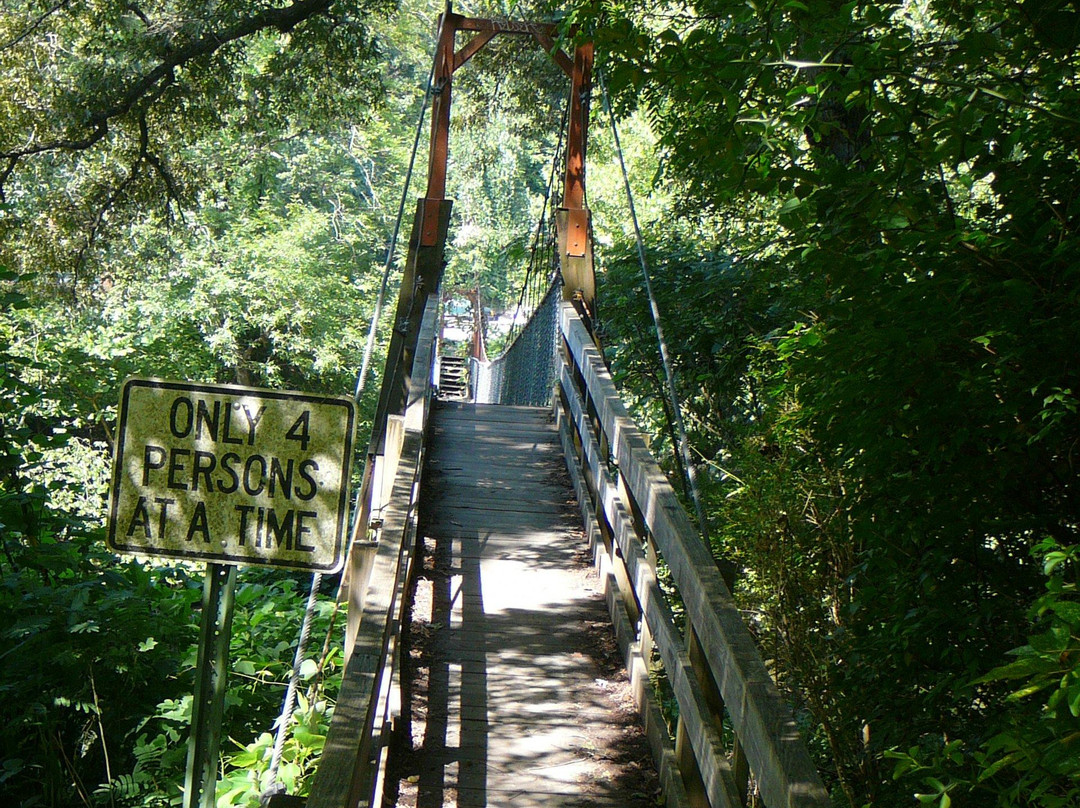 Dark Island Swinging Bridge-汤森必去景点