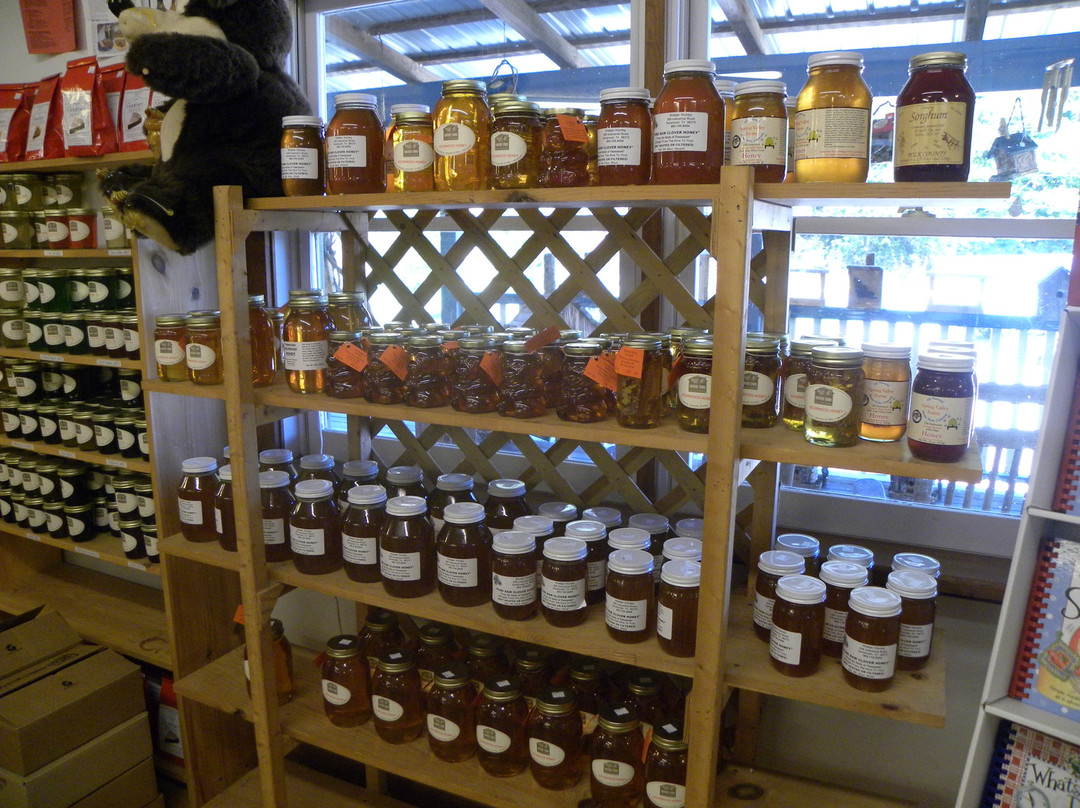 Rocky Top Country Store-塞维尔维尔必去景点