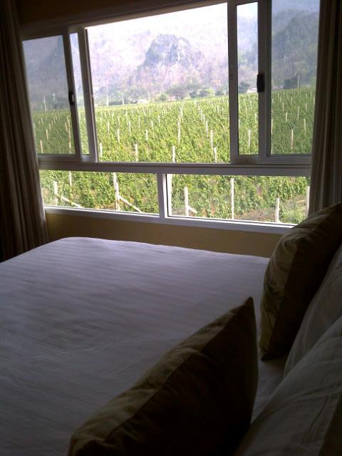 GranMonte Vineyard景点图片