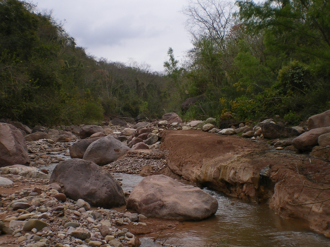 Calilegua National Park-Calilegua必去景点