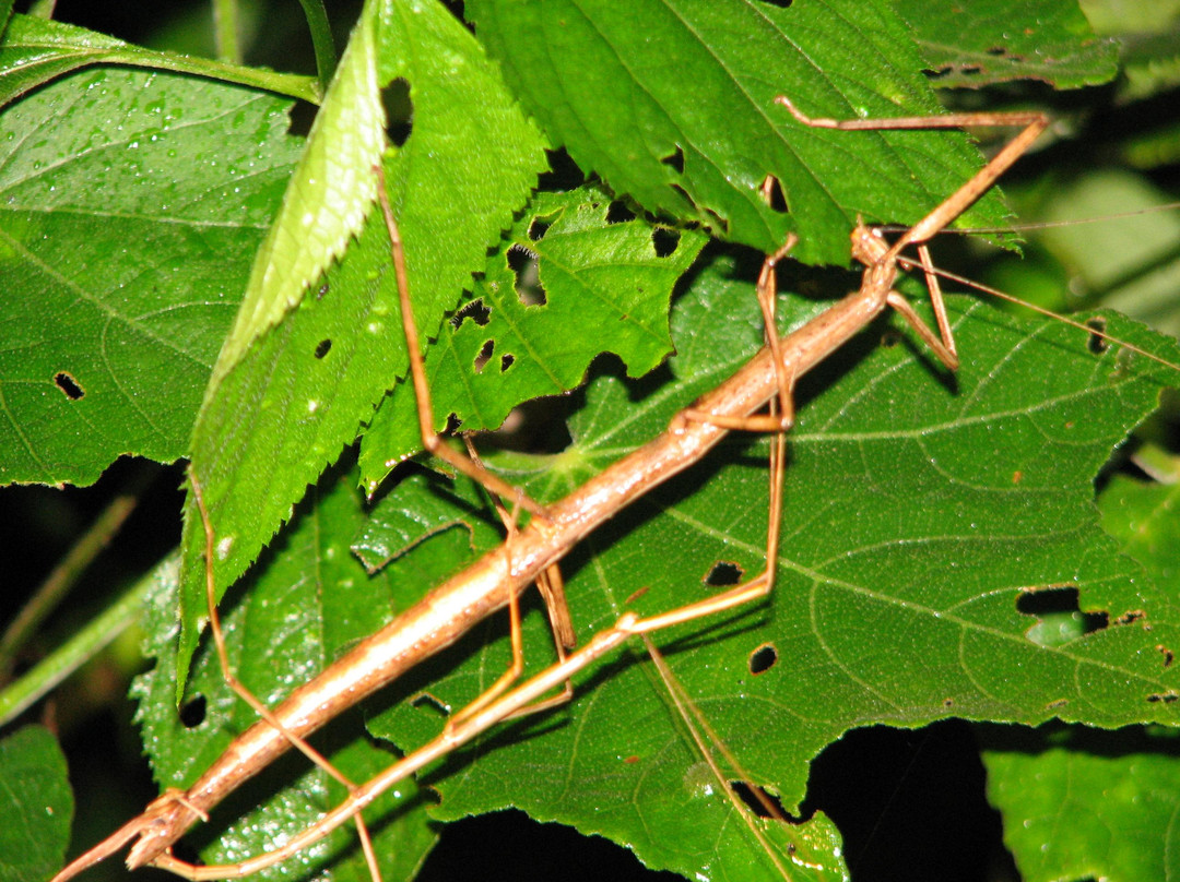 Valle Escondido Night Tour-圣埃伦娜必去景点