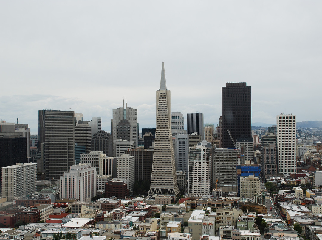 柯伊特塔-旧金山必去景点