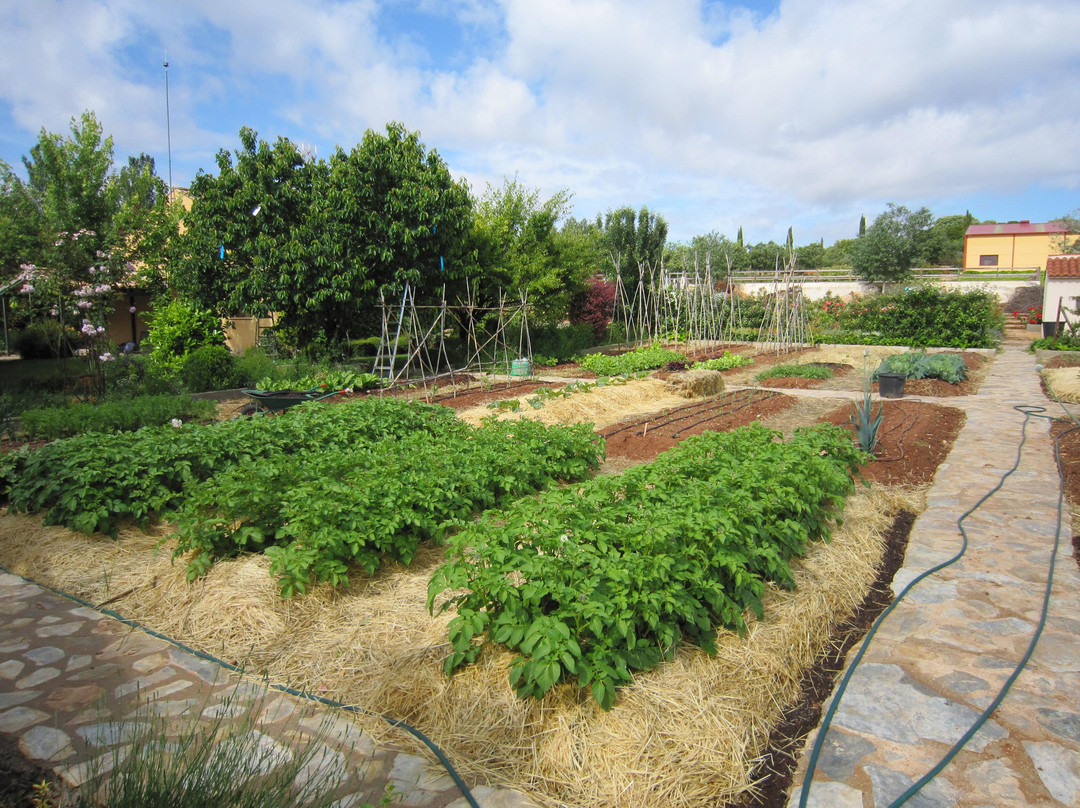 Cuesta de Patas主图