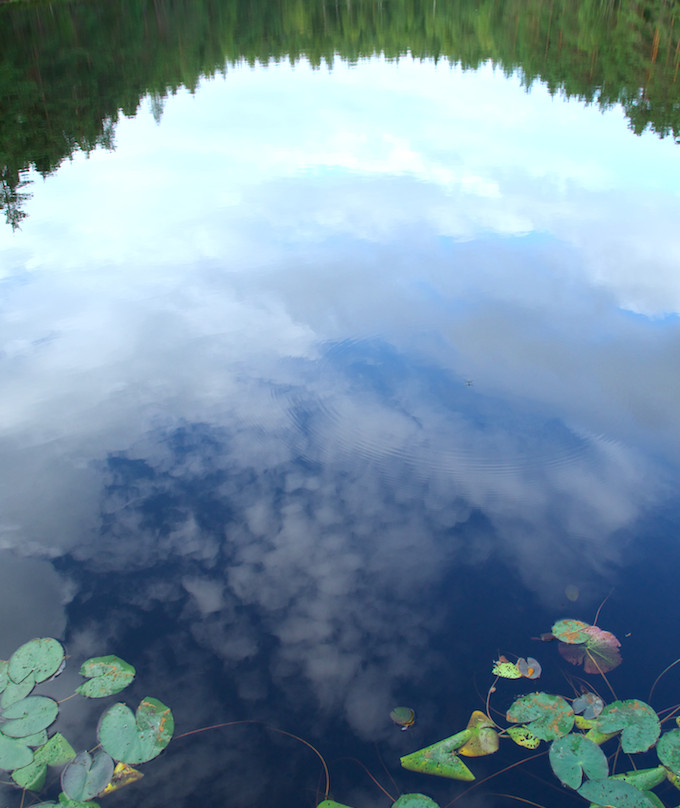 Natura Viva: Nuuksio Forest Lake Trail-赫尔辛基必去景点