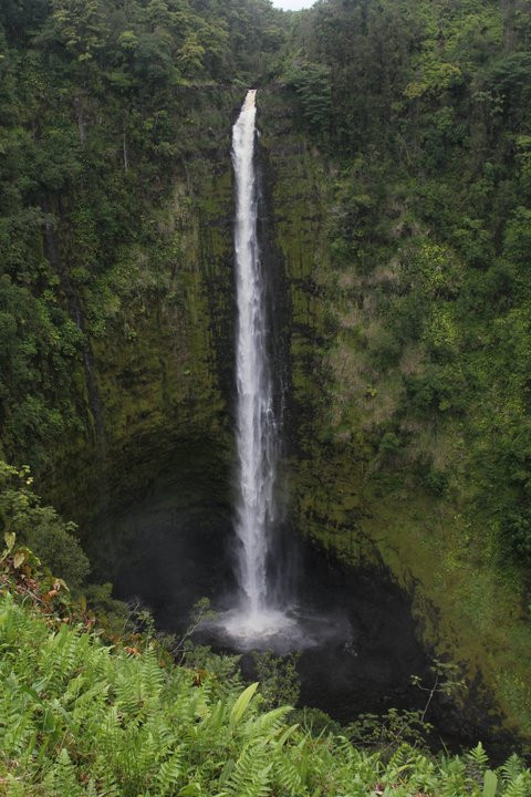阿卡卡瀑布州立公园-希洛必去景点