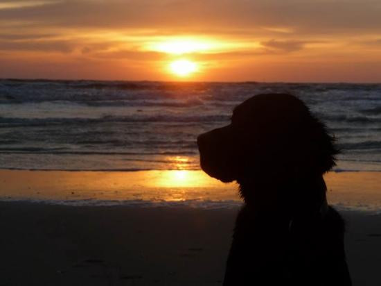 Strandslag / Residence Juliana主图