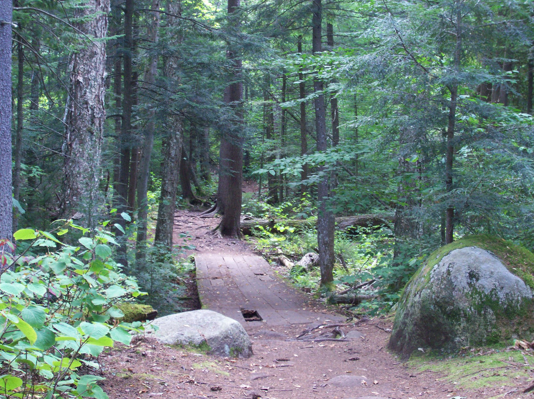 Brewster Peninsula Nature Trails-普莱西德湖必去景点