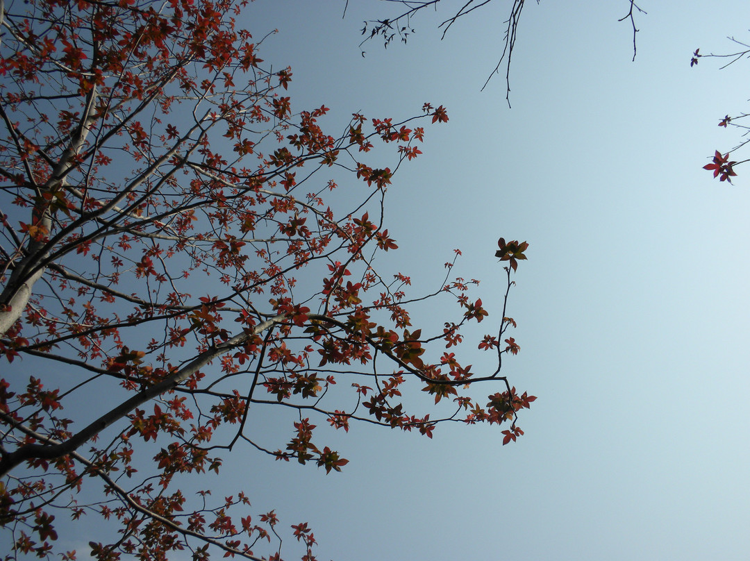 千岛湖屏溪漂流-淳安县必去景点