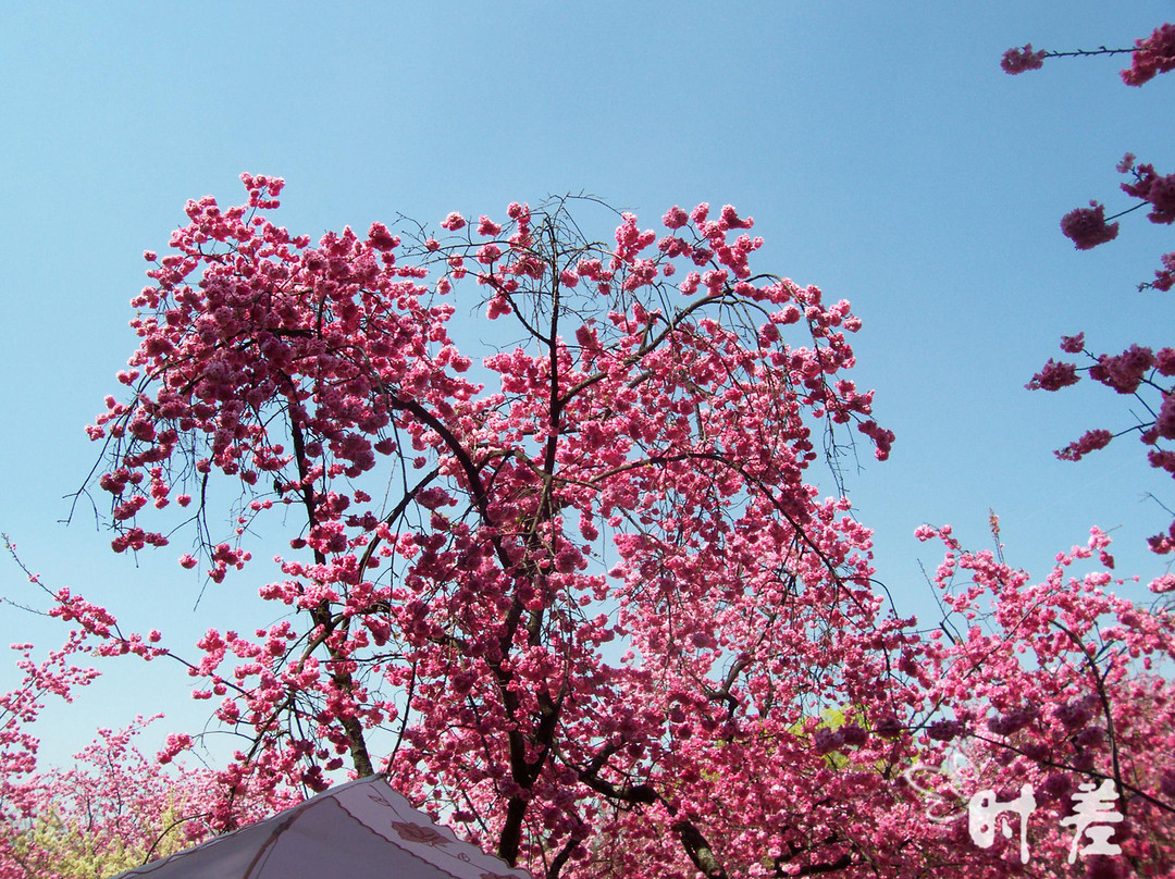 昆明动物园-昆明市必去景点