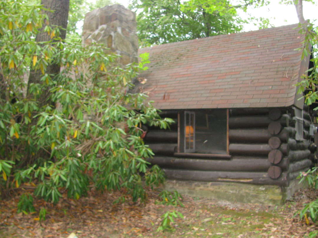 Leber's Log Cabins