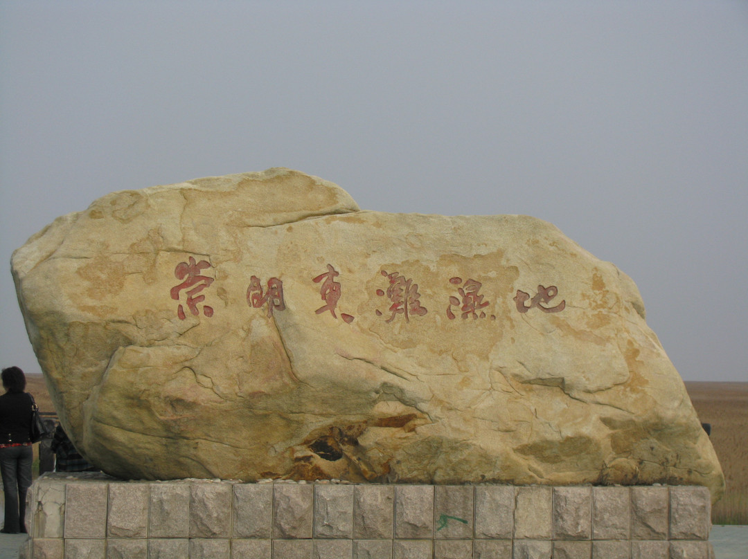 崇明东滩鸟类国家级自然保护区-崇明县必去景点