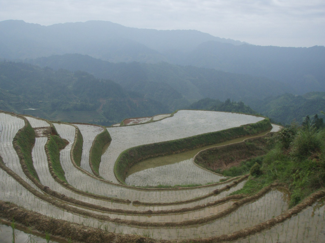 吾不知其名主图