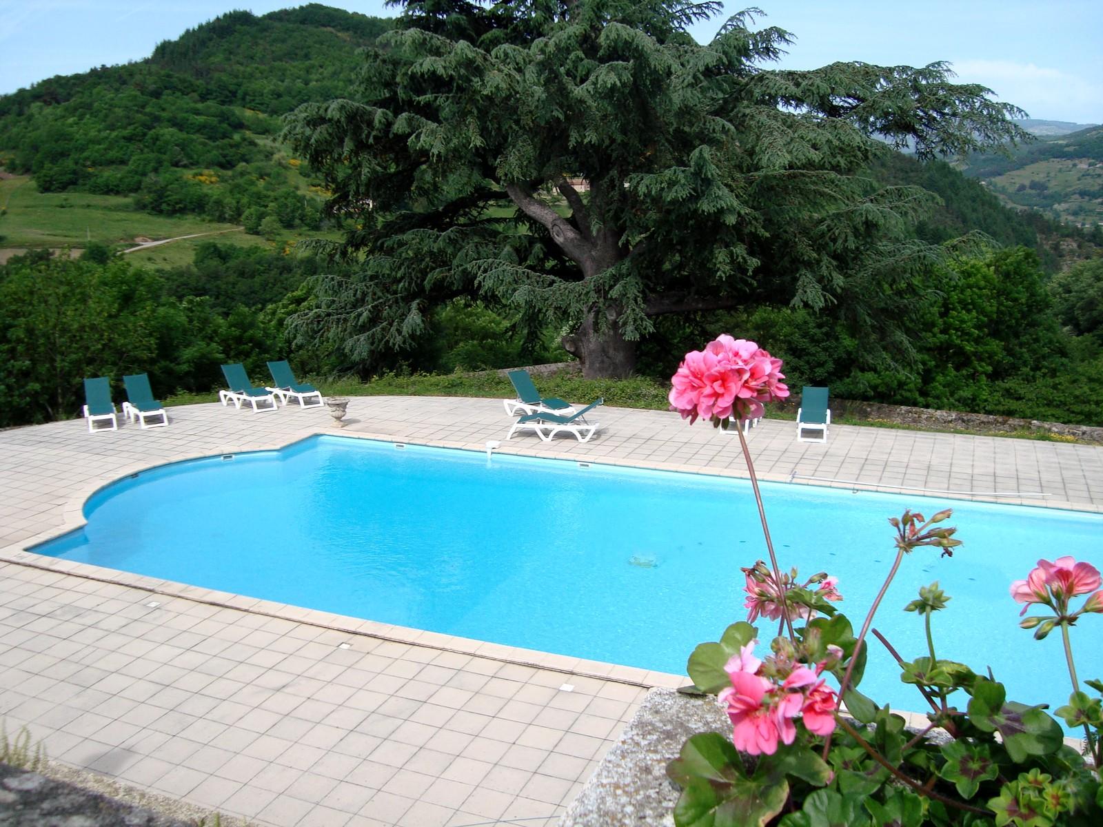 Chateau D'Urbillac-泳池