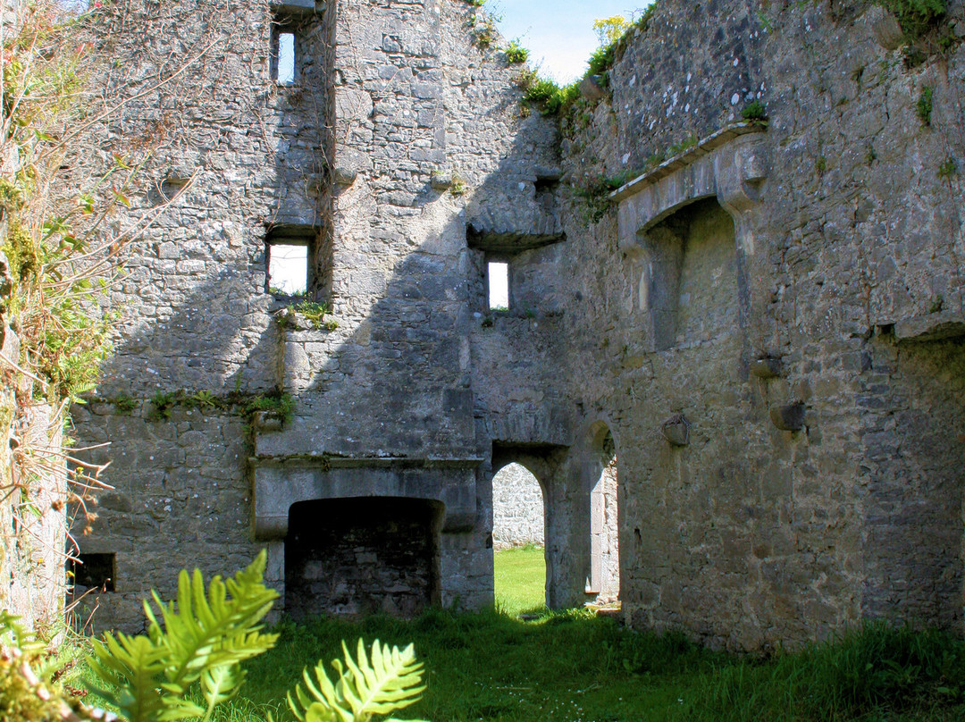 Old Franciscan Friary-Adare必去景点