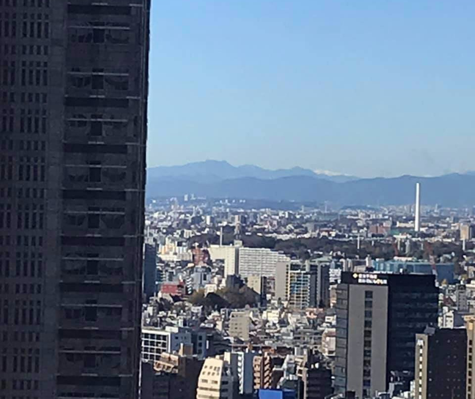 东京京王广场尊贵大酒店主图