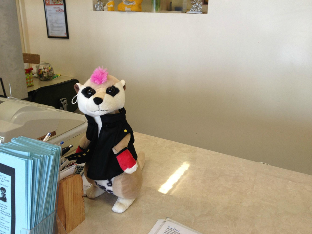 Bohle Plains餐馆和美食-One Thai Cuisine & Noodle Bar