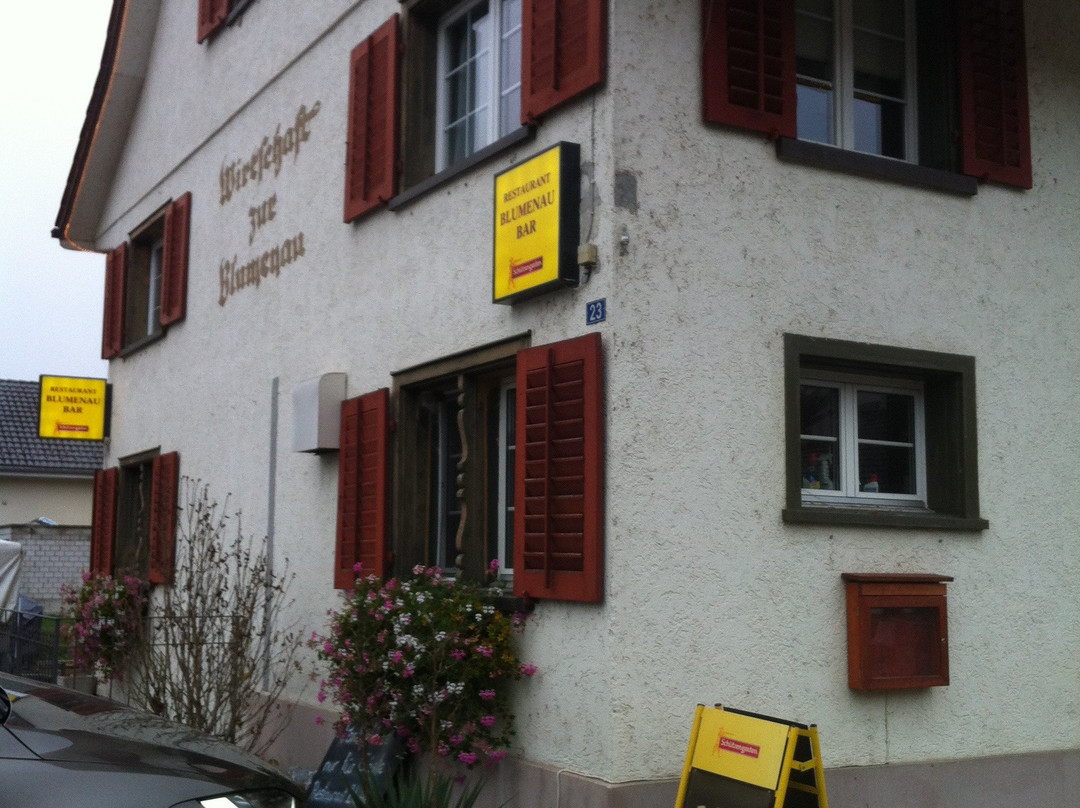 Wigoltingen餐馆和美食-Restaurant Blumenau