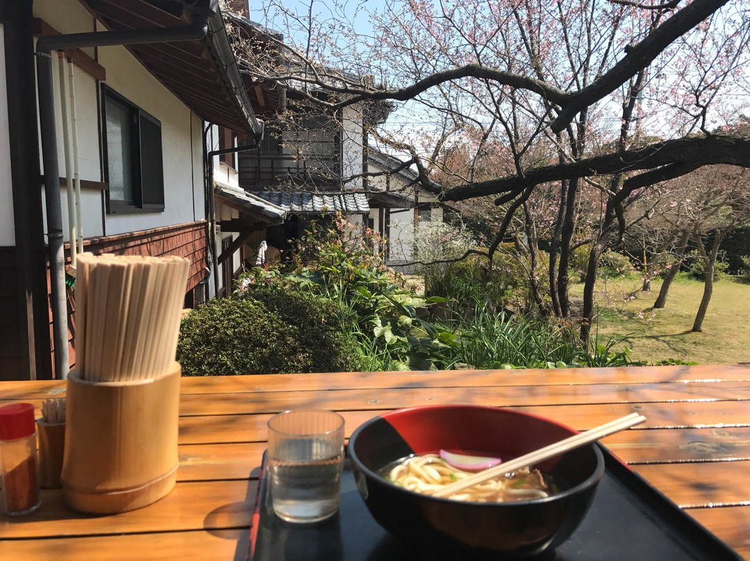 Nokonoshima餐馆和美食-Nokonoshima Island Park Kochan Udon