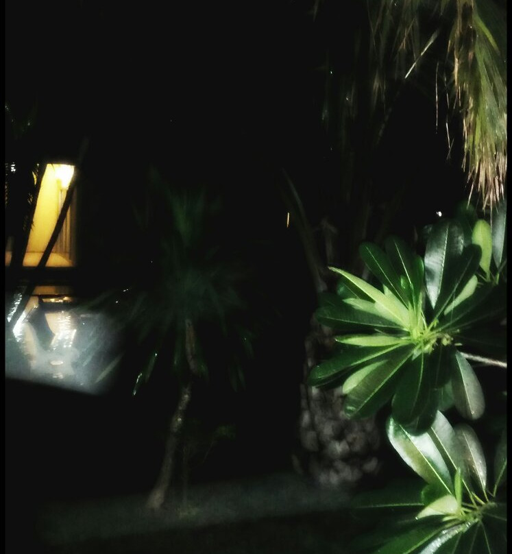 Happy Resort