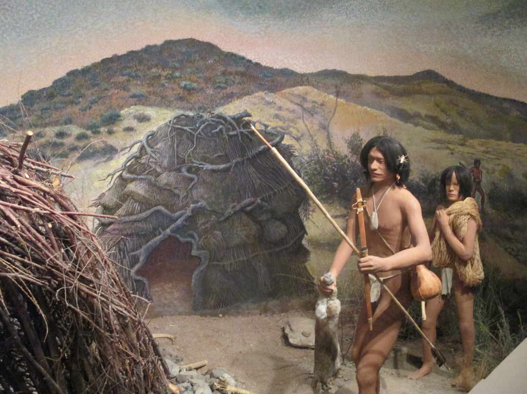 El Paso Museum of Archaeology-埃尔帕索必去景点