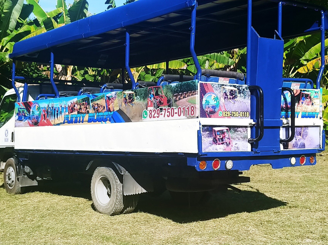 Caribbean Tours