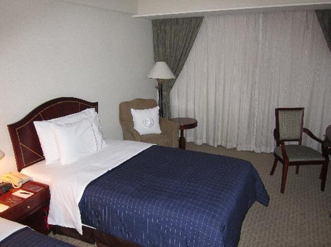 成都天府丽都喜来登饭店（天府广场店）主图