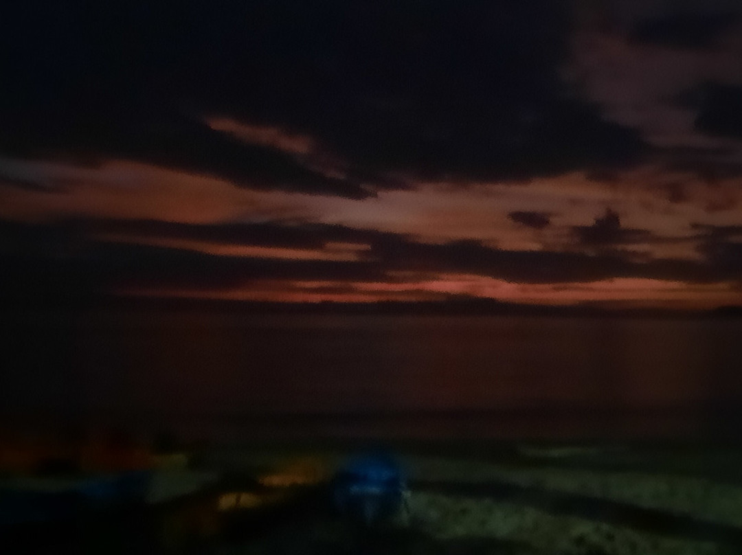 Pacific Watersports-棕榈湾必去景点