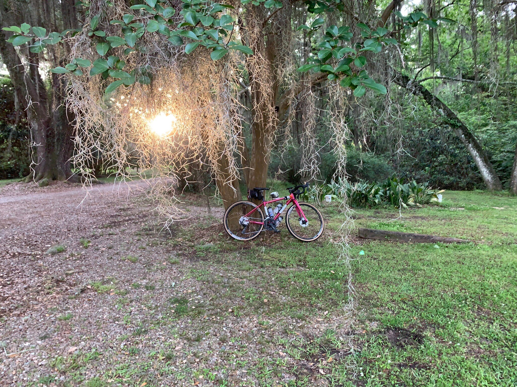 Butler Greenwood Plantation-官方
