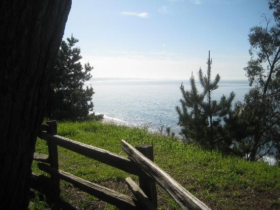 New Brighton State Beach-卡皮托拉必去景点