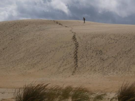Jockey's Ridge State Park景点图片