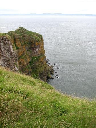 Cape Split Hiking Trail-Scots Bay必去景点