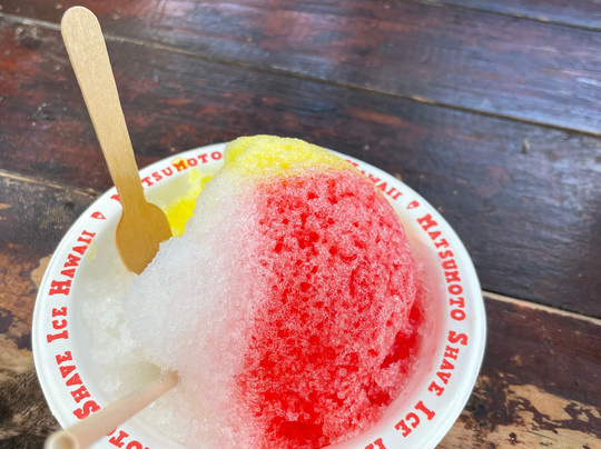 North Shore Beach Bus-火奴鲁鲁必去景点