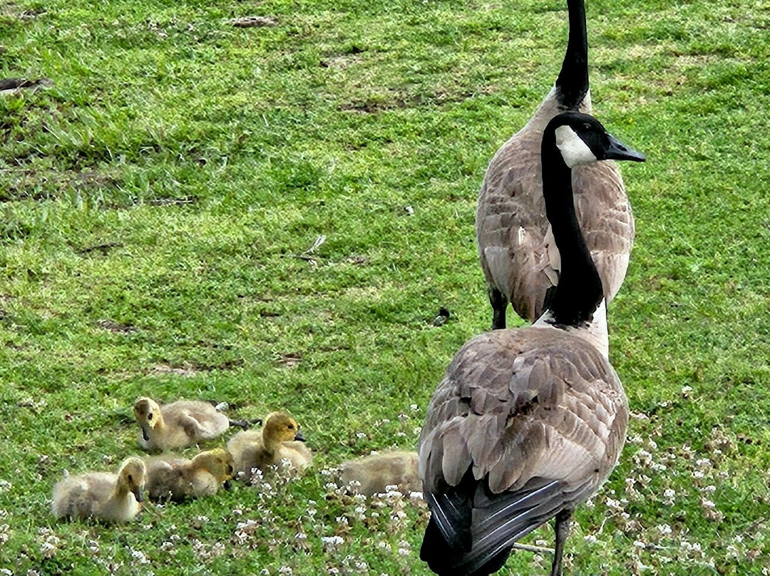 Texas Freshwater Fisheries Center-Athens必去景点