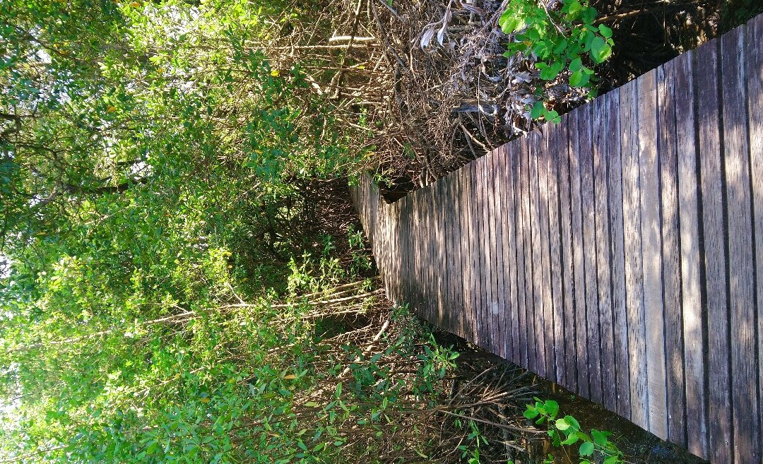 Sentier des Salines-Remire-Montjoly必去景点