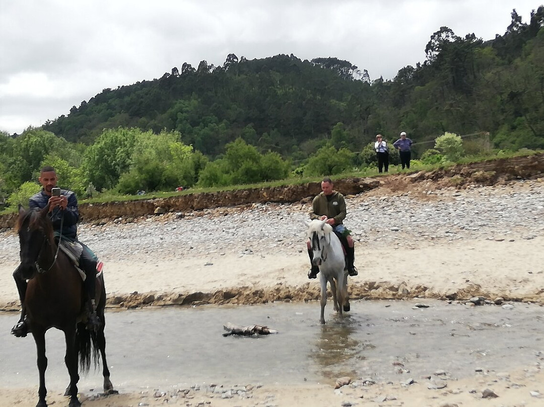Aventuras a Caballo