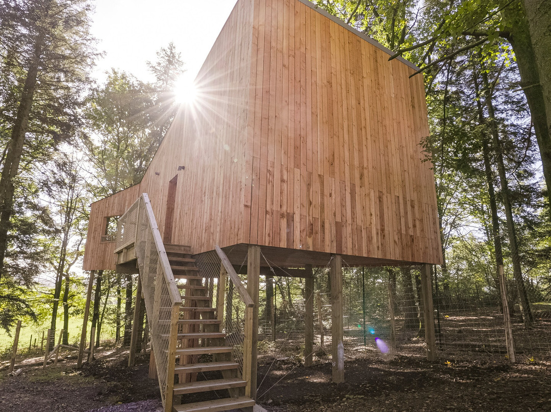 Wood Hôtel & Lodges by Forestia