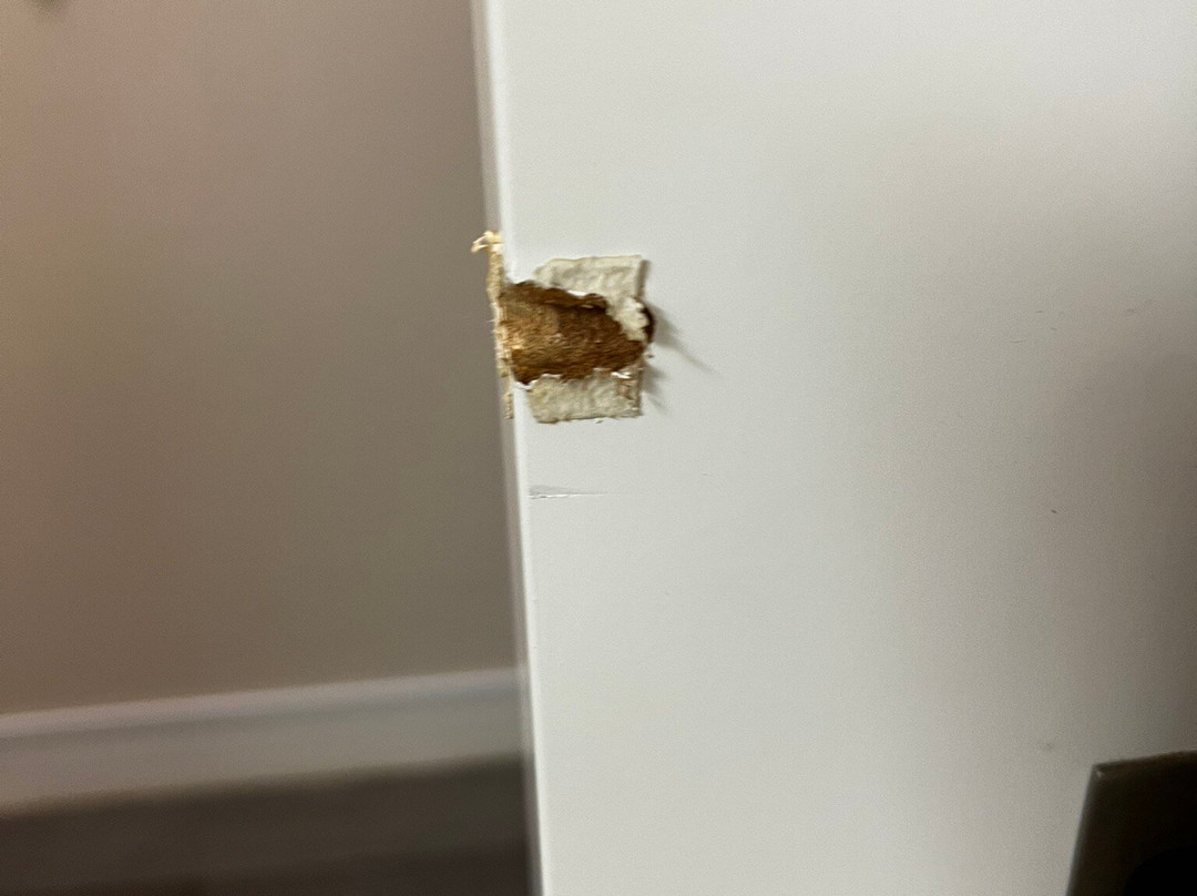 Hampton Inn Madison主图