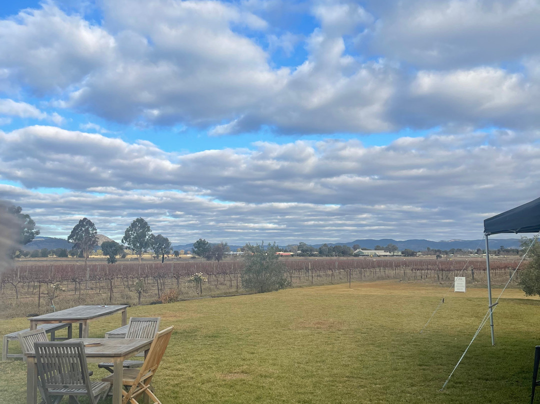 Through The Grapevine Wine Tours and Tastings Mudgee景点图片