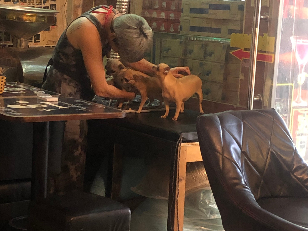 King Pirates Pub-河内必去景点