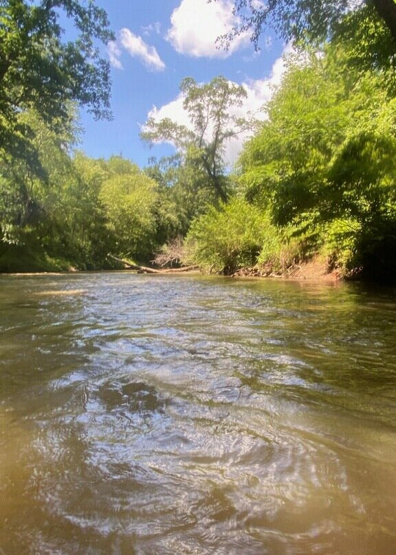 Slow Water-Royston必去景点