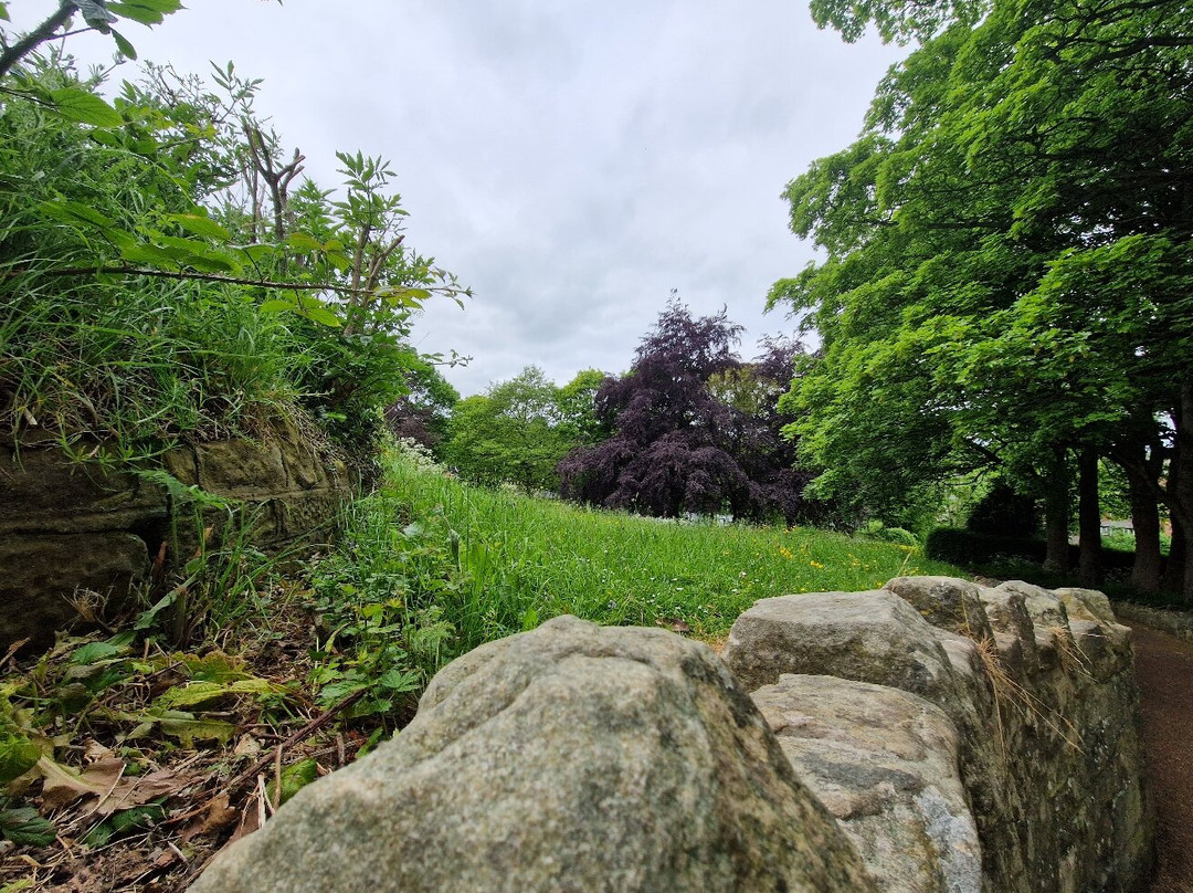 Carlisle Park景点图片