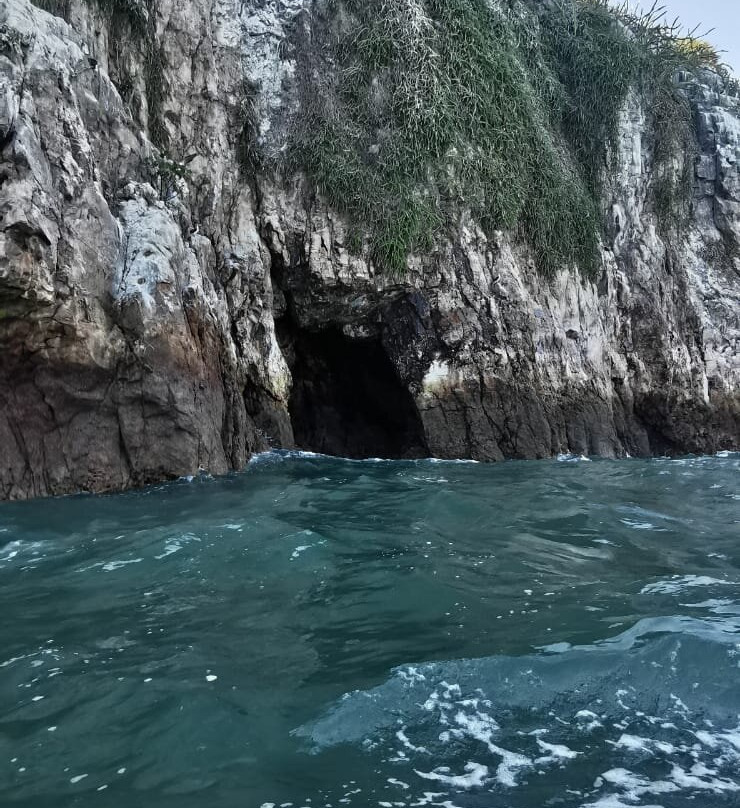 Isla Bona景点图片
