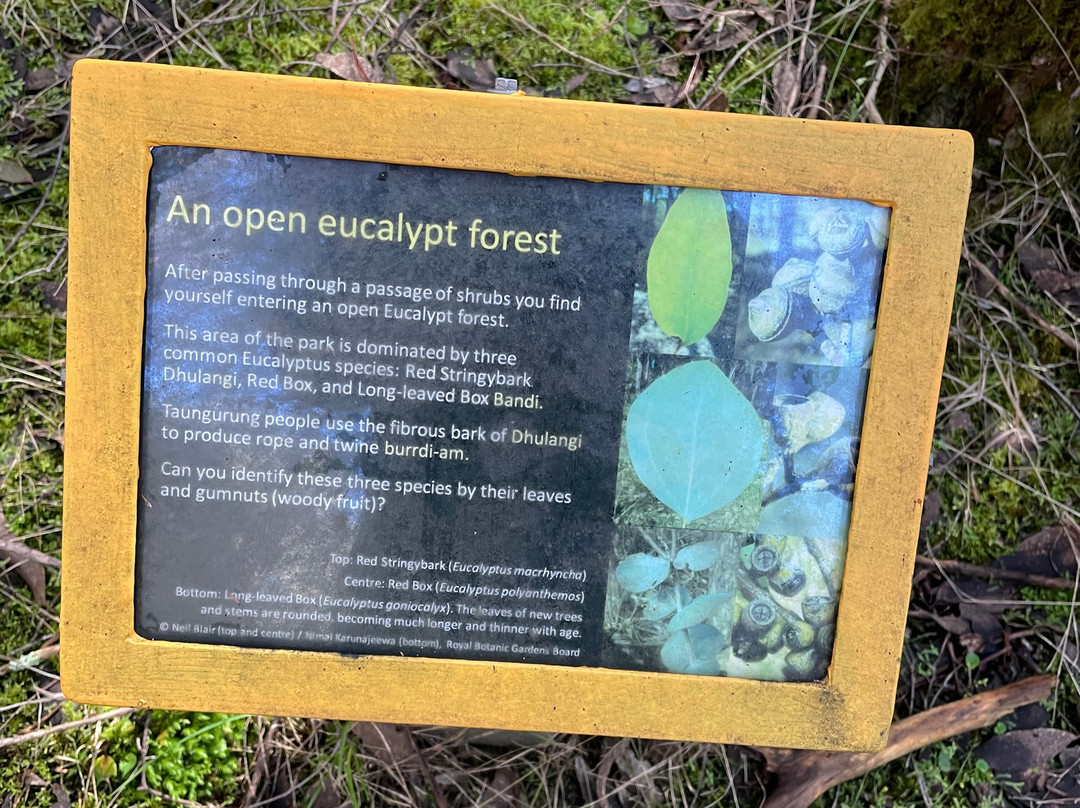 Candlebark Nature Trail-Eildon必去景点