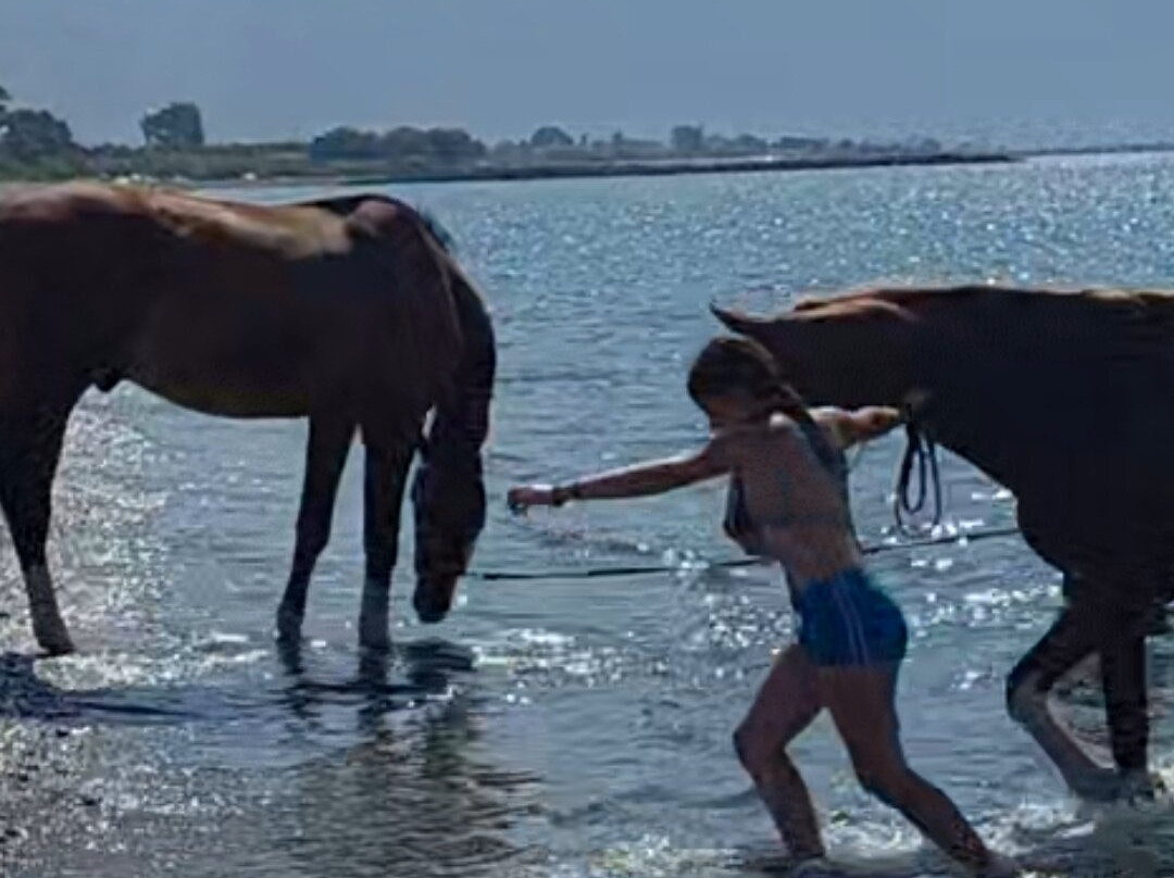 Ippikos Omilos Kalamatas-卡拉马塔必去景点