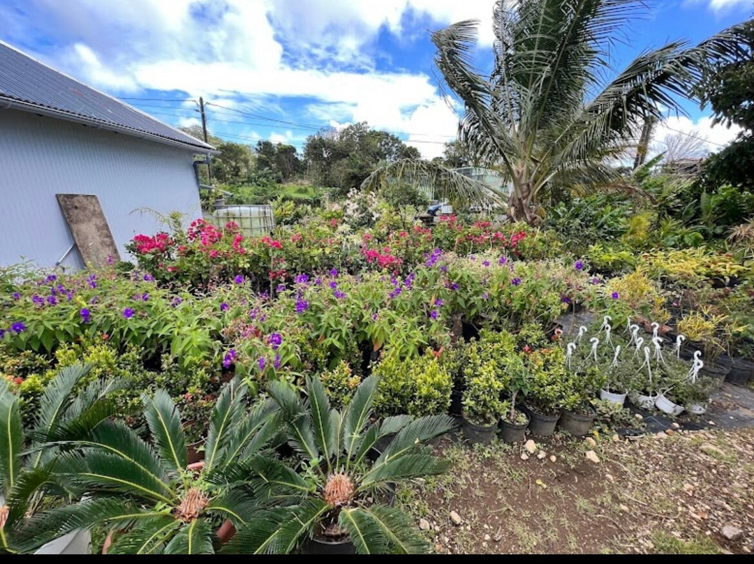 Cascades du Bassin Bleu-Gourbeyre必去景点
